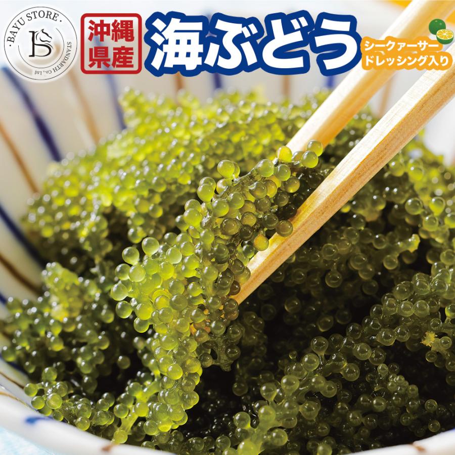 お値下げ！お買い得品 ♪ 沖縄本島美ら海産 旬の海ぶどう 2kg 海ぶどう 沖縄産100％ 塩漬け 2セット(100g×2) シークワーサー