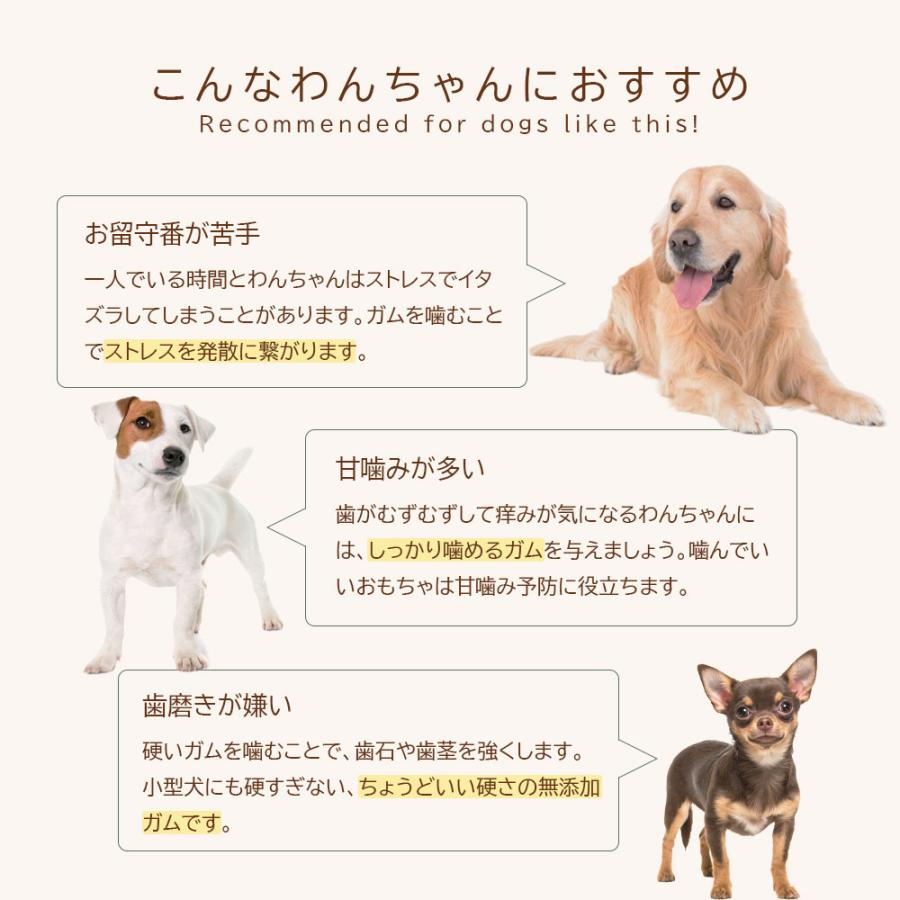 獣医師監修 無添加 デンタルガム 骨型 中型犬 〜 大型犬 用 1本 牛皮 歯磨きガム デンタルケア はみがきガム 犬 犬用 ガム Mサイズ 爆買 |  | 03