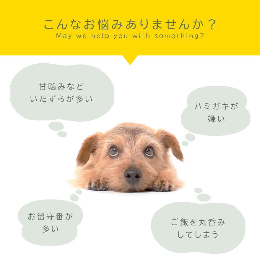 獣医師監修 無添加 デンタルガム 骨型 中型犬 〜 大型犬 用 1本 牛皮 歯磨きガム デンタルケア はみがきガム 犬 犬用 ガム Mサイズ 爆買 |  | 06