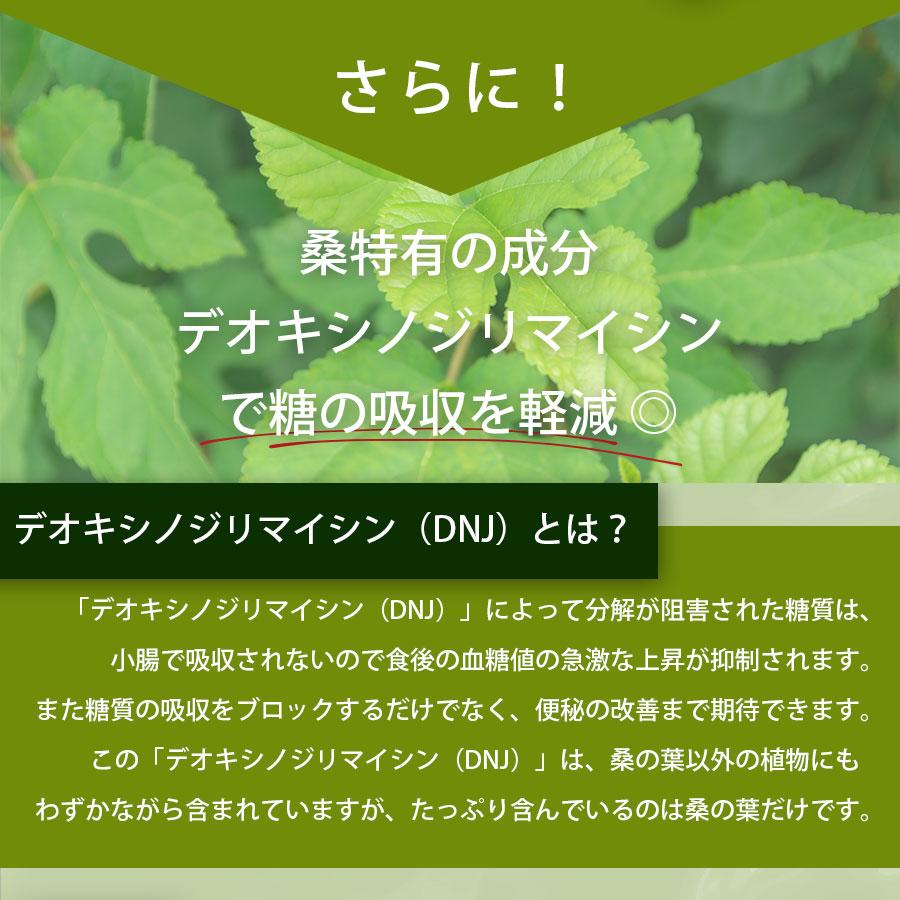 桑の葉茶 粉末 青汁 300g (100g×3袋) 国産  100%桑茶パウダー 完全無添加 ダイエット 糖質制限  ロカボ 爆買 |  | 05