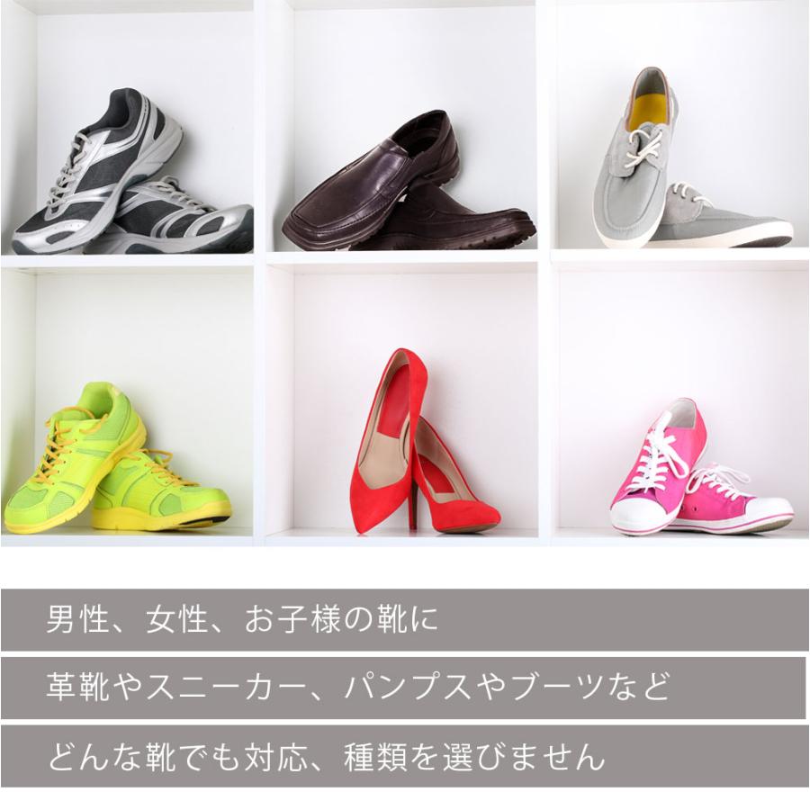 強力消臭 靴の消臭剤 NIO ONE1 ニオワン 消臭パウダー 40g 無香料 抗菌 靴 消臭 粉 デオドラントケア 消臭剤 日本製 爆買 |  | 04