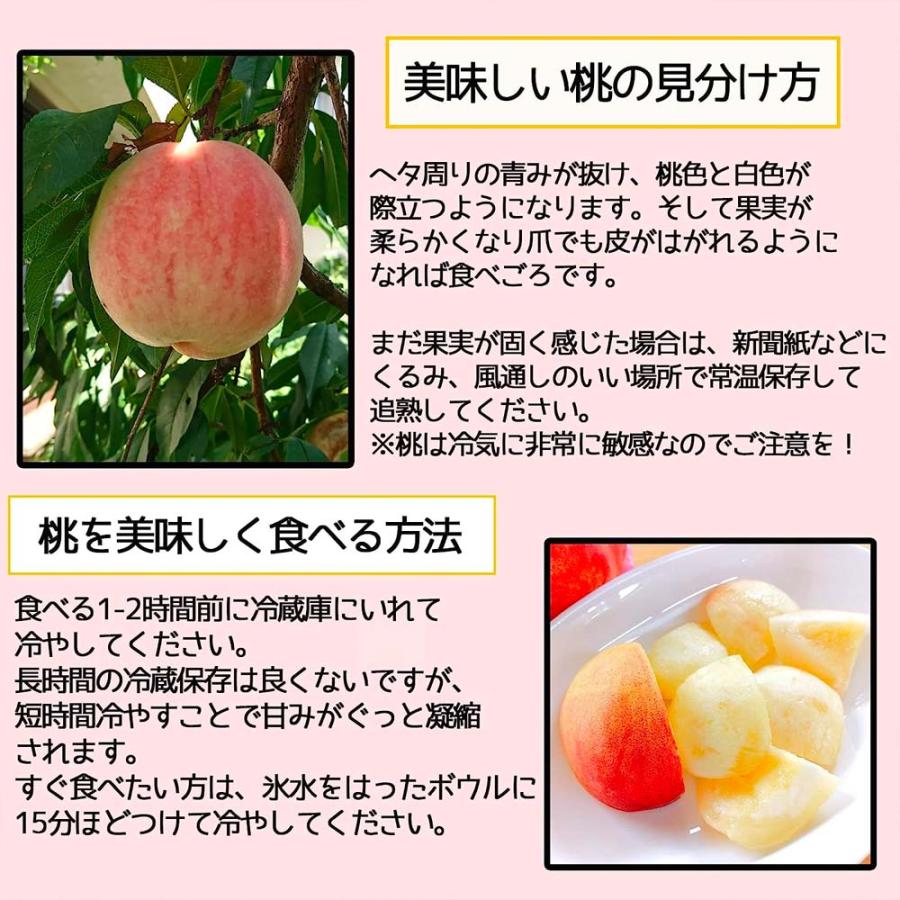 桃  4玉 マスカット 1房 敬老の日 2026 ギフト 旬のフルーツセット 2種 セット 葡萄 果物 爆買 |  | 02