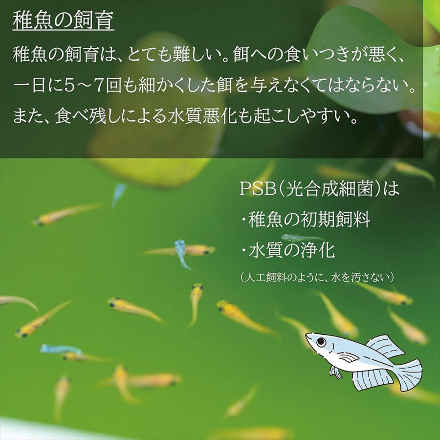 高濃度 PSB 光合成細菌 1L(1本) メダカ 金魚 熱帯魚 にも 水質改善 |  | 03