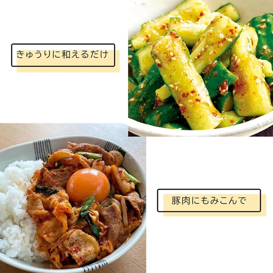 万能調味料 韓の素 100g×2種類 セット 甘辛 激辛 韓国調味料 韓国料理 スパイス 調味料 唐辛子 パウダー 粉末 激辛スパイス 送料無料 ネコポス 爆買 |  | 05