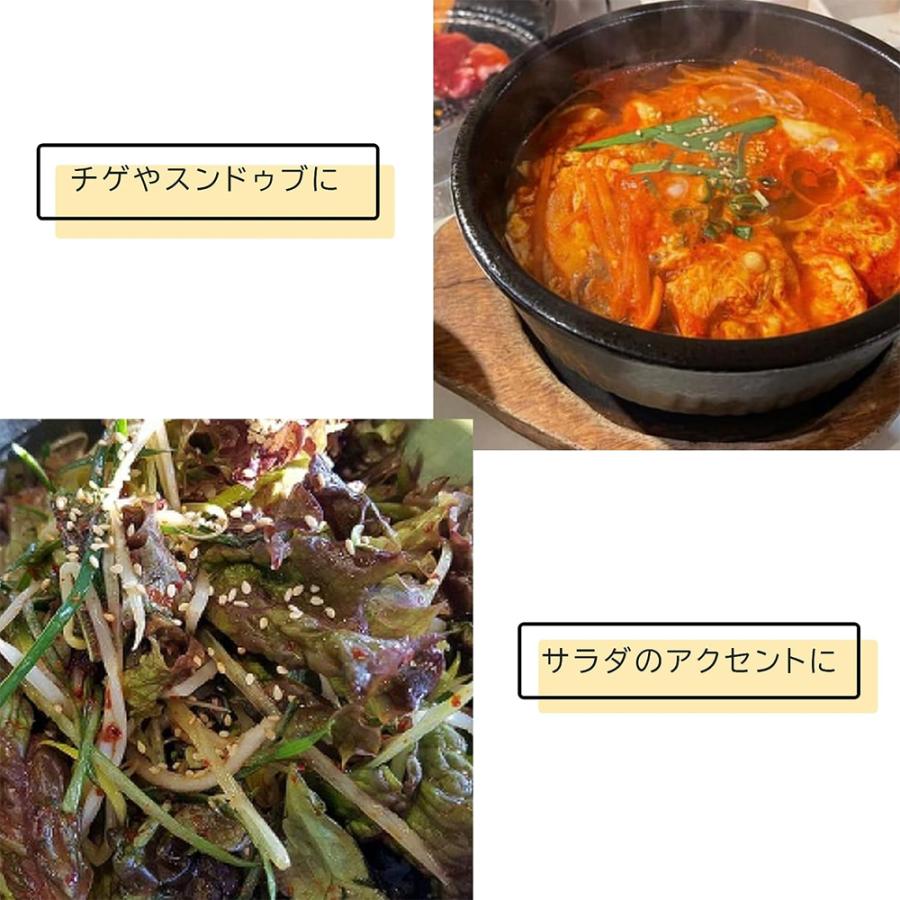 万能調味料 韓の素 100g×2種類 セット 甘辛 激辛 韓国調味料 韓国料理 スパイス 調味料 唐辛子 パウダー 粉末 激辛スパイス 送料無料 ネコポス 爆買 |  | 06