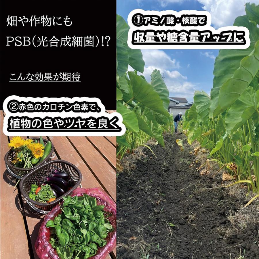 高濃度 PSB 光合成細菌 2L (1Lx2本) 説明書付き メダカ 金魚 熱帯魚 パッケージリニューアル中 |  | 05