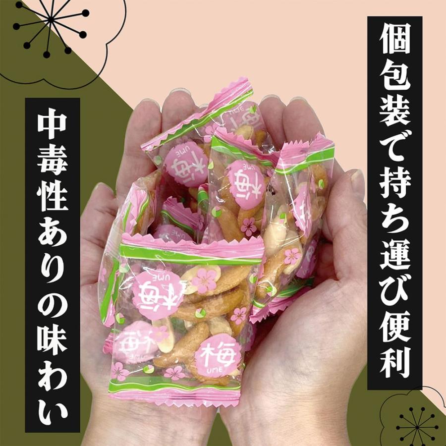 柿の種 柿ピー 業務用 梅しそ味 500g  小袋 豆まき 豆 菓子 国内製造 大容量 個包装 爆買 |  | 04