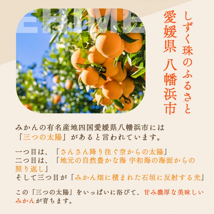 みかん大福 バレンタインデー 2026 6個入り 愛媛県産 しずく珠 フルーツ 冷凍 大福餅 お取り寄せスイーツ 高級 和菓子 ギフト 爆買 |  | 02