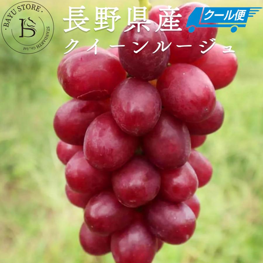 ぶどう クイーンルージュ 長野県産 2房(1房約400g前後) クール便 秀品 シャインマスカットの交配種 糖度約20度 赤系品種 ブドウ ぶどう 種なしぶどう 爆買 | 