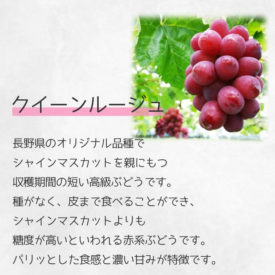 ぶどう クイーンルージュ 長野県産 2房(1房約400g前後) クール便 秀品 シャインマスカットの交配種 糖度約20度 赤系品種 ブドウ ぶどう 種なしぶどう 爆買 |  | 01