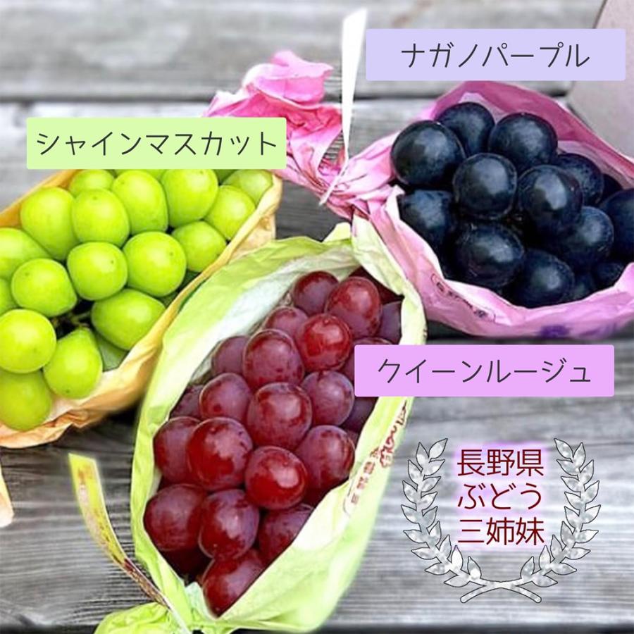ぶどう クイーンルージュ 長野県産 2房(1房約400g前後) クール便 秀品 シャインマスカットの交配種 糖度約20度 赤系品種 ブドウ ぶどう 種なしぶどう 爆買 |  | 04