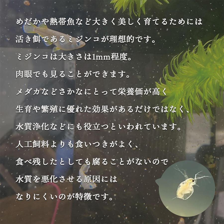 タマミジンコ 5g(約15000匹) 魚の餌 生き餌 クロレラ グリーンウォーター メダカフレンド 微生物 アクアリウム 爆買 |  | 02