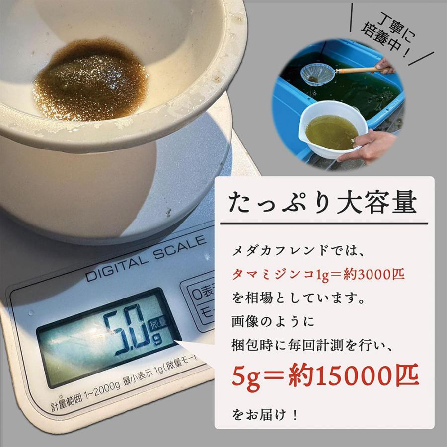 タマミジンコ 5g(約15000匹) 魚の餌 生き餌 クロレラ グリーンウォーター メダカフレンド 微生物 アクアリウム 爆買 |  | 03