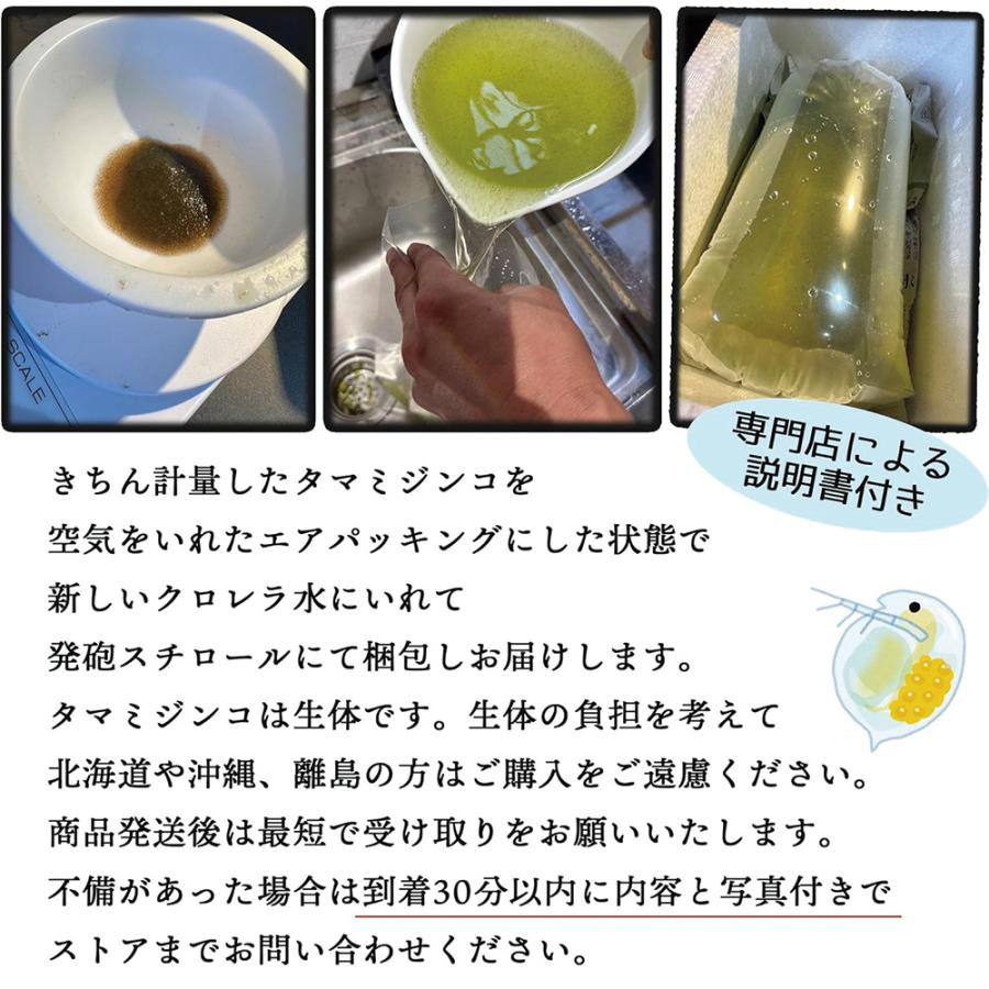 タマミジンコ 5g(約15000匹) 魚の餌 生き餌 クロレラ グリーンウォーター メダカフレンド 微生物 アクアリウム 爆買 |  | 05