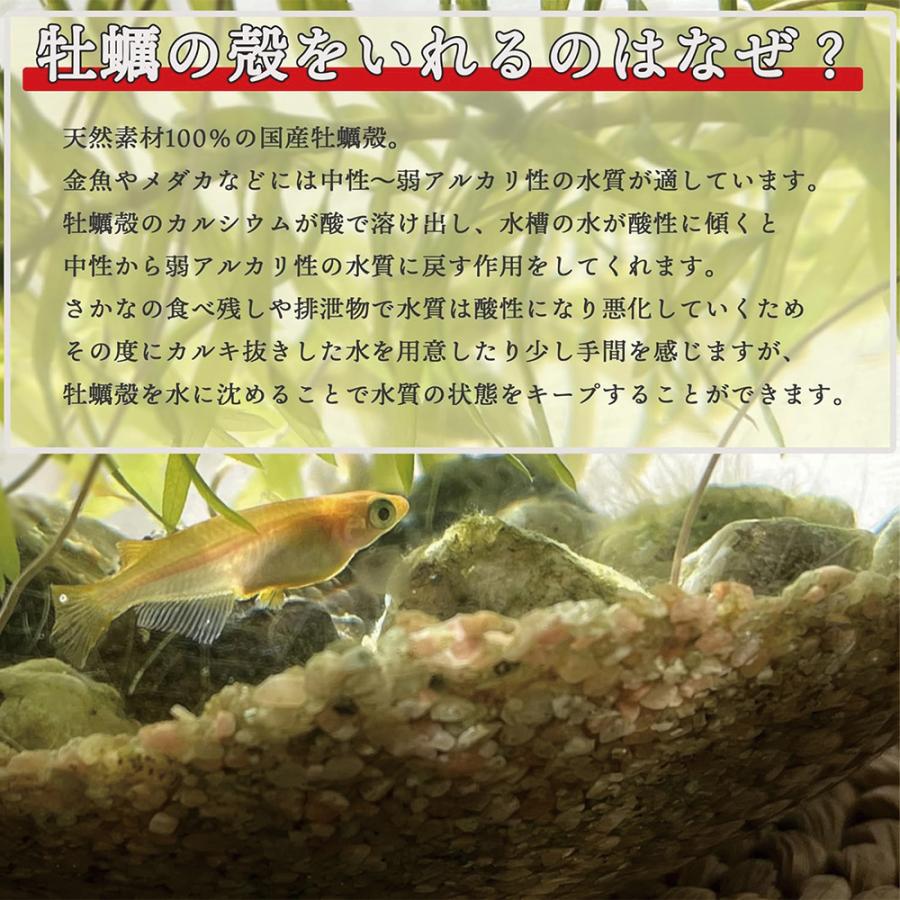 牡蠣殻 国産 300g (8〜10枚) メダカフレンド 金魚 水質 安定 浄化 ph調整 隠れ家 アクアリウム 貝殻 爆買 |  | 02