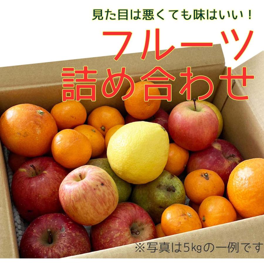 果物詰め合わせ 約5kg【お試し用】 規格外 りんご みかん 柑橘 など季節のフルーツ 自宅用 果物/訳あり 傷あり 汚れあり｜next1021｜02