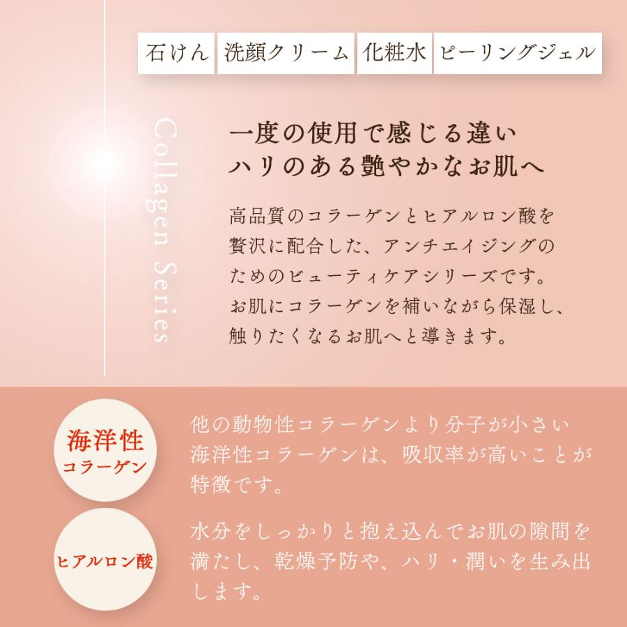 コラーゲン洗顔クリーム ラッピング付き アズマ商事 120g 3本入 洗顔料 乾燥肌 敏感肌 旅美人 10%OFF |  | 03
