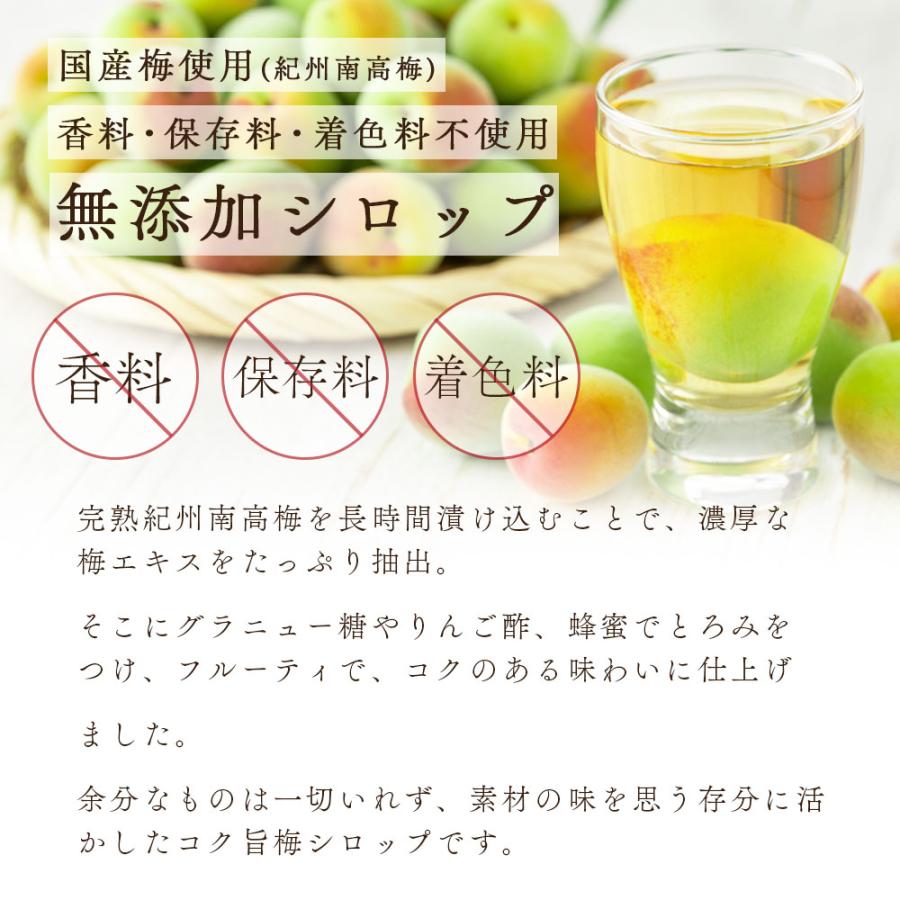 完熟梅シロップ　3本セット　送料込み 中埜酒造 【送料無料】國盛ファーム 梅シロップ 420g×3本セット