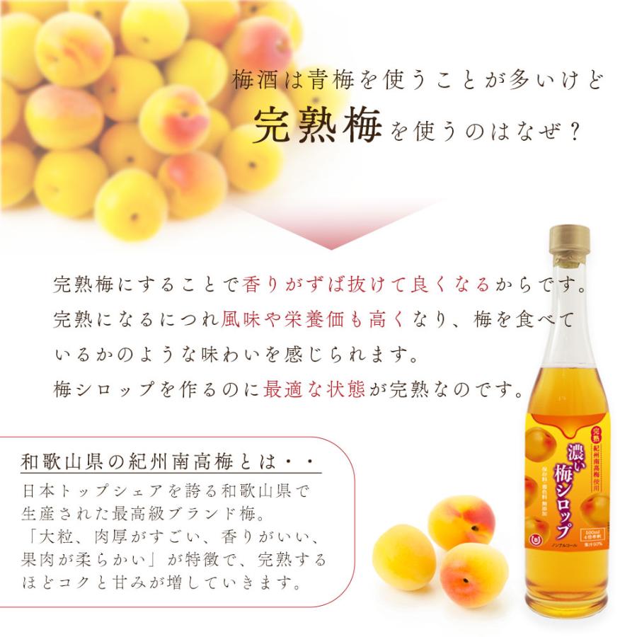 梅シロップ 国産 完熟 紀州南高梅 500ml 希釈 ジュース 無添加