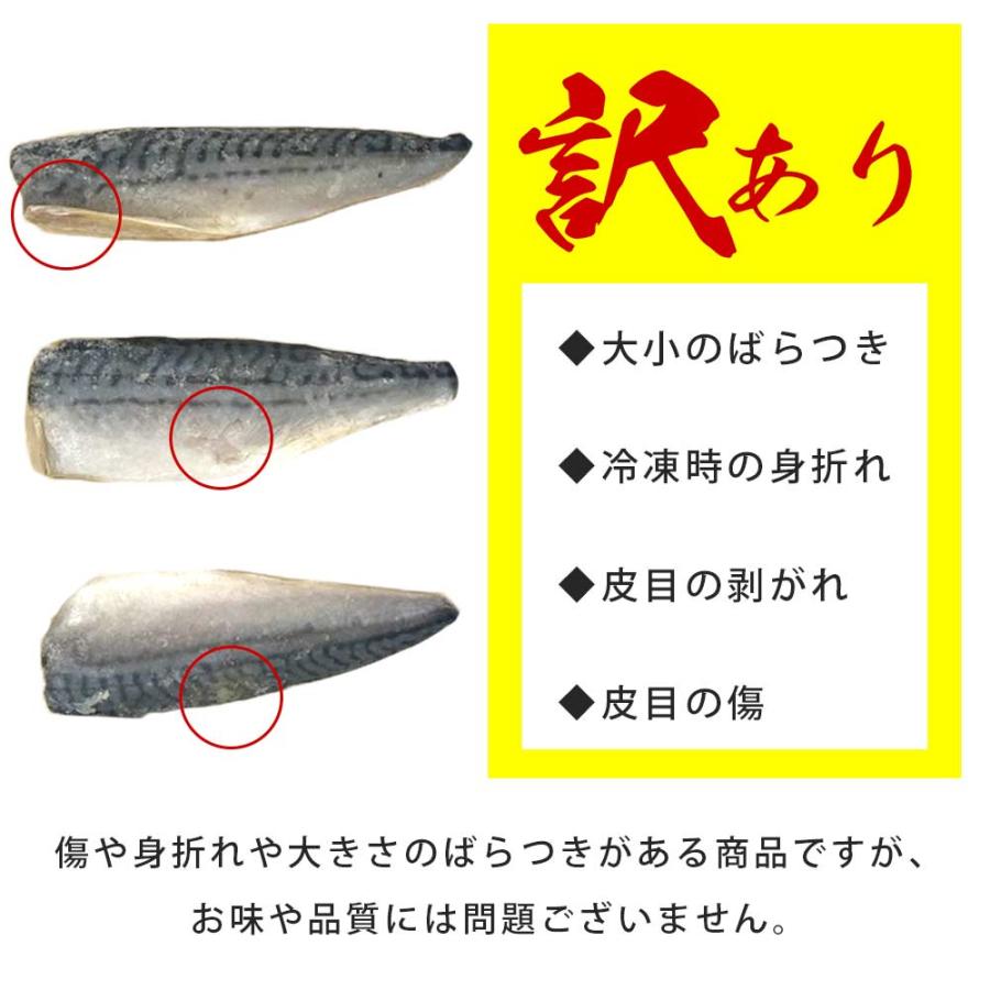 無塩 骨取り さば フィーレ 700g 訳あり 骨なし お弁当 送料無料 鯖 魚 おかず 冷凍 無添加 爆買 |  | 04