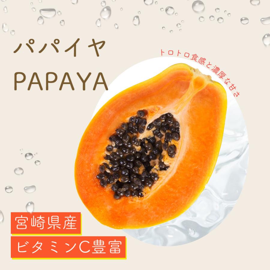 国産 パパイヤ 約2kg 3〜7玉 サンライズソロ トロピカルフルーツ 果物 生鮮 爆買 |  | 01