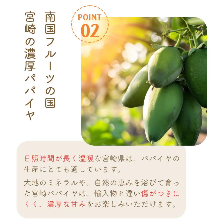 国産 パパイヤ 約2kg 3〜7玉 サンライズソロ トロピカルフルーツ 果物 生鮮 爆買 |  | 05