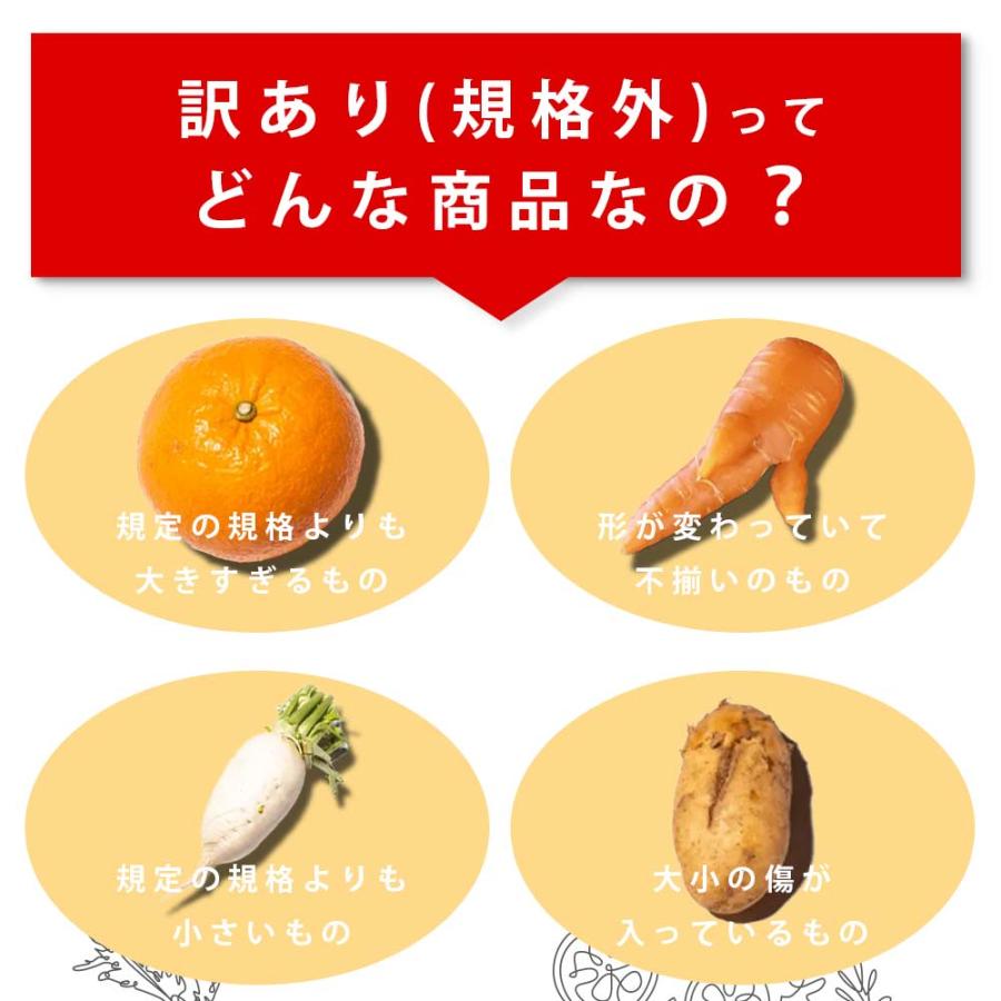 訳あり 野菜 果物 食品 ロスヘル 詰め合わせ お任せ セット Sサイズ 7種類以上 約3-5kg SDGs 国産 爆買 |  | 06