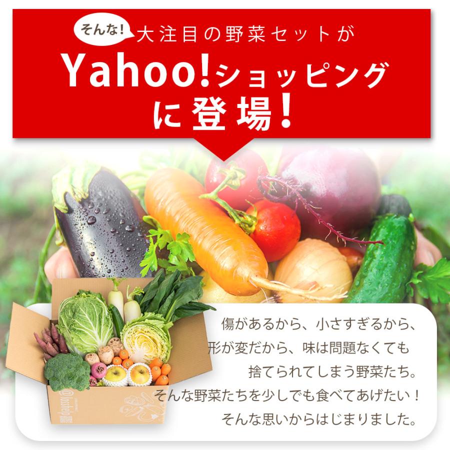 食品 訳あり 野菜 果物 詰め合わせ ロスヘル お任せ セット 8種類以上 約6-10kg SDGs 国産 爆買 |  | 04