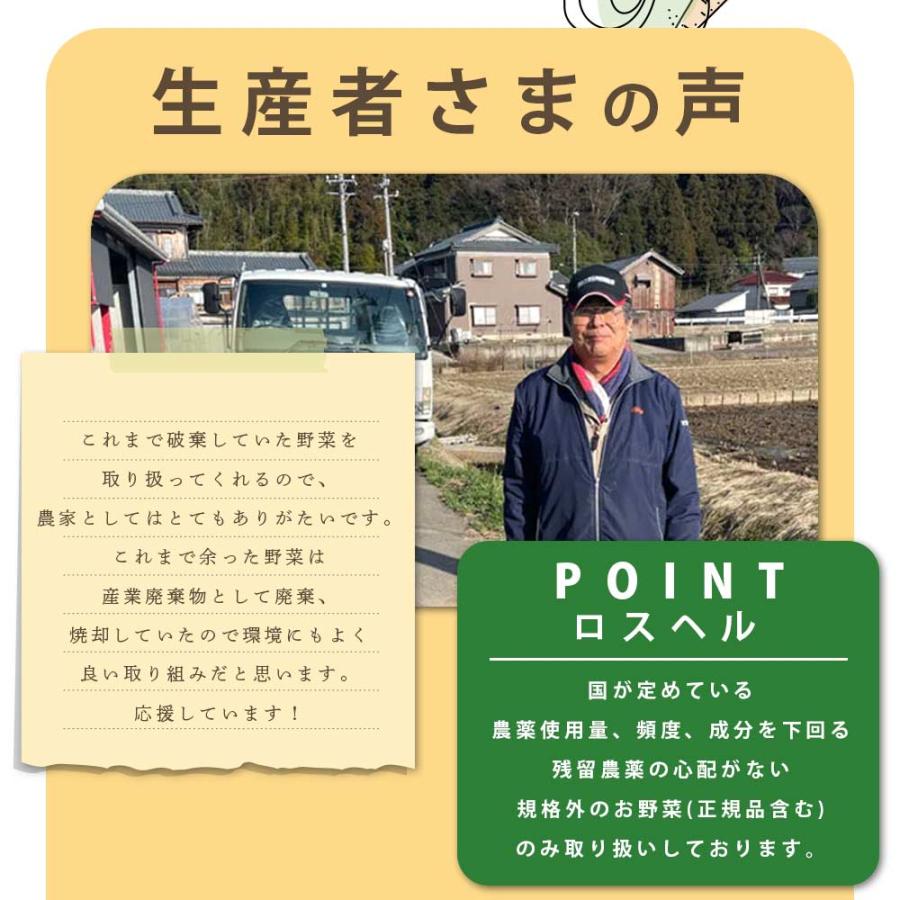 食品 訳あり 野菜 果物 詰め合わせ ロスヘル お任せ セット 8種類以上 約6-10kg SDGs 国産 爆買 |  | 08