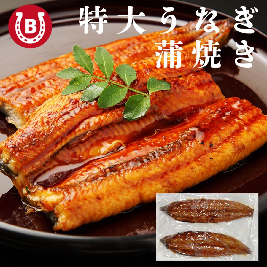 うなぎ 蒲焼き 超特大サイズ 2尾 約500g 簡易包装 自宅用 蒲焼 鰻 ギフト プレゼント 爆買 | 