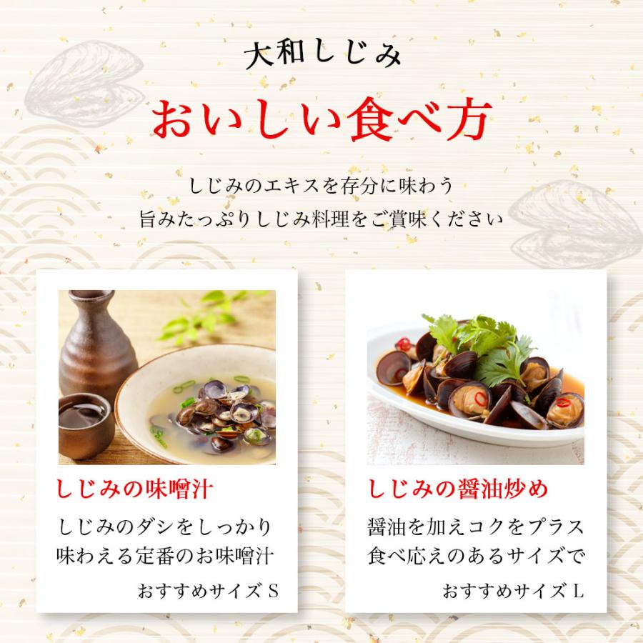 しじみ 宍道湖産 大和 Sサイズ 約1kg 殻付き 砂抜き済み 下処理不要 島根県産 国産 貝 ヤマトシジミ 冷凍 出汁 爆買 |  | 06