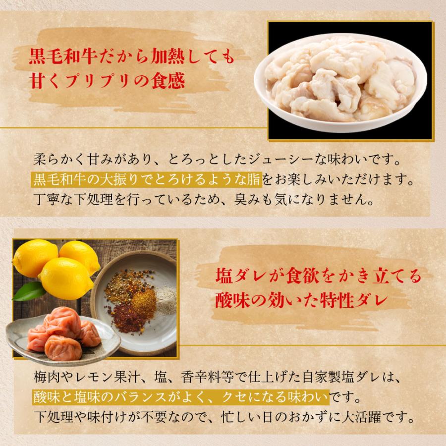 黒毛和牛 ホルモン 400g(200g×2p) 塩ダレ 味付き 国産 もつ 小腸 味付 肉 キャンプ 食材 BBQ 焼き肉 焼肉 小分け 爆買 |  | 02