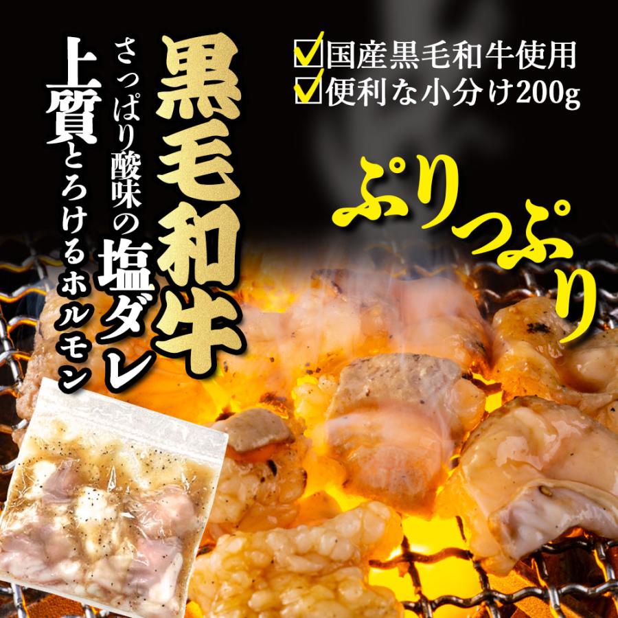 黒毛和牛 ホルモン 600g(200g×3p) 塩ダレ 味付き 国産 もつ 小腸 味付 肉 キャンプ 食材 BBQ 焼き肉 焼肉 小分け 爆買 |  | 01