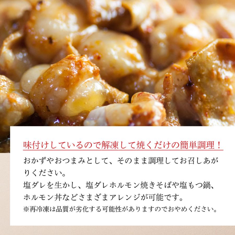 黒毛和牛 ホルモン 1kg(200g×5p) 塩ダレ 味付き 国産 もつ 小腸 味付 肉 キャンプ 食材 BBQ 焼き肉 焼肉 小分け 爆買 |  | 04