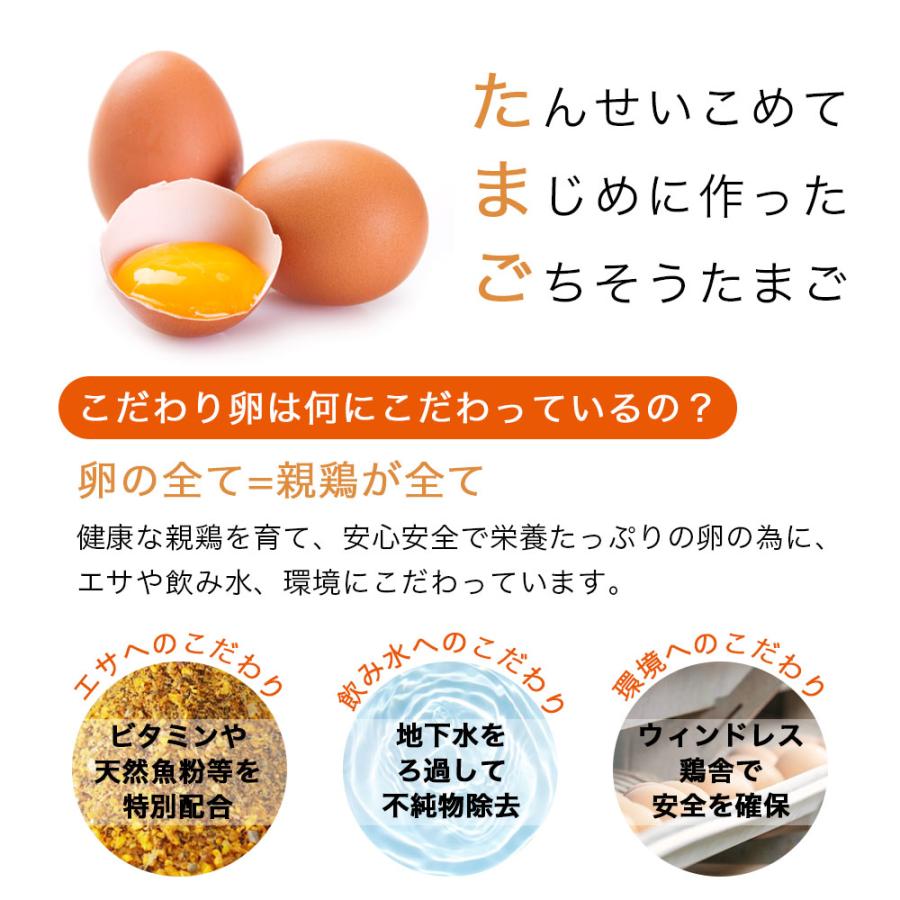 卵 高級 産みたて こだわり家族のこだわり卵 30個 濃厚卵黄 赤卵 高級卵 鶏卵 高級たまご サイズお任せ 爆買 |  | 02