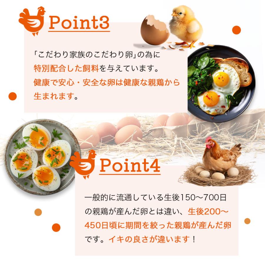 卵 高級 産みたて こだわり家族のこだわり卵 30個 濃厚卵黄 赤卵 高級卵 鶏卵 高級たまご サイズお任せ 爆買 |  | 04