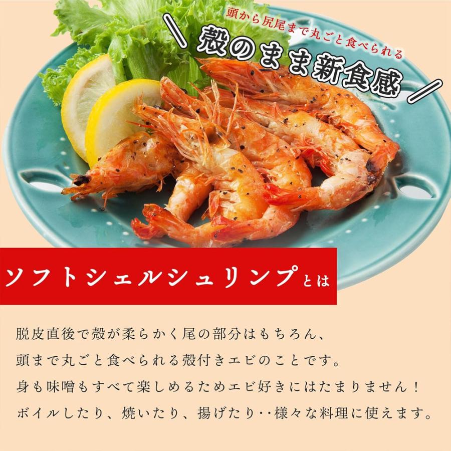 ソフトシェルシュリンプ 約400g 30〜40尾 有頭エビ 殻付き海老 エビ えび サイズお任せ 殻付き 海老 有頭海老 冷凍エビ バナメイエビ 爆買 |  | 01
