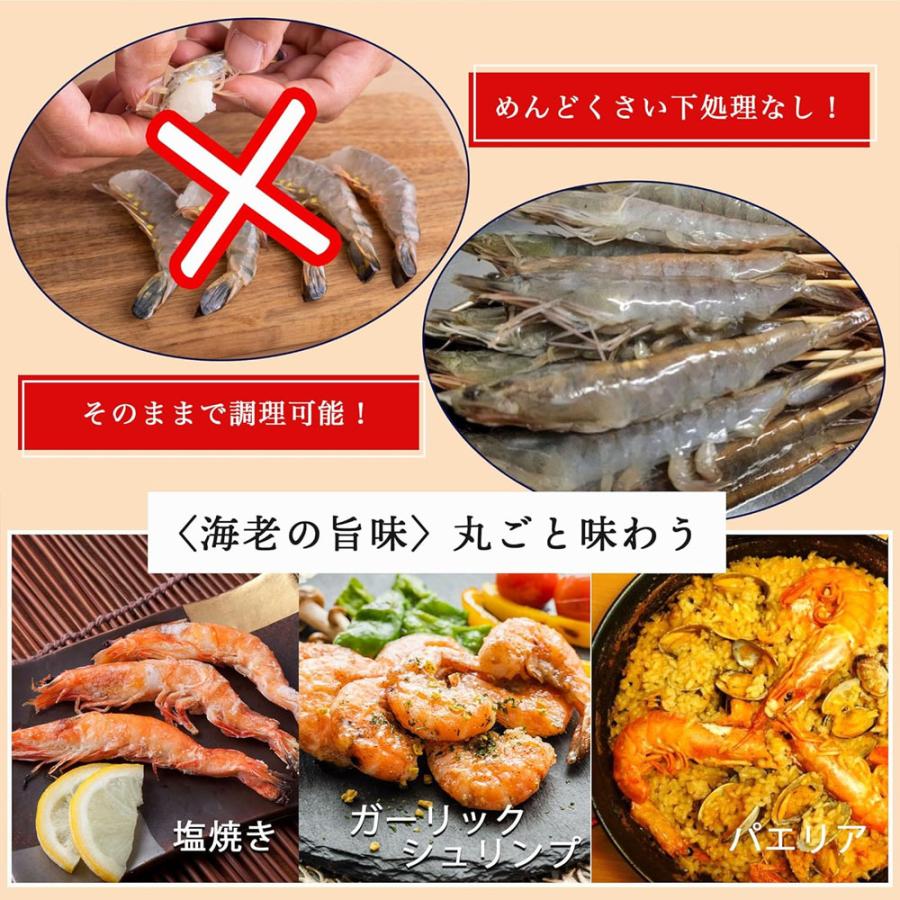 ソフトシェルシュリンプ 約400g 30〜40尾 有頭エビ 殻付き海老 エビ えび サイズお任せ 殻付き 海老 有頭海老 冷凍エビ バナメイエビ 爆買 |  | 02
