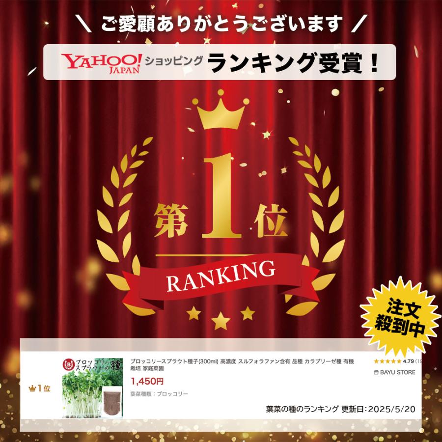 ブロッコリースプラウト 種子(300ml) 高濃度 スルフォラファン含有