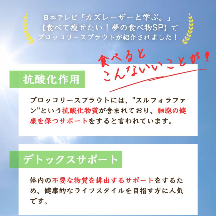 ブロッコリースプラウト種子(300ml×2袋) 高濃度 スルフォラファン含有 品種 カラブリーゼ種 有機栽培種子 爆買 |  | 02