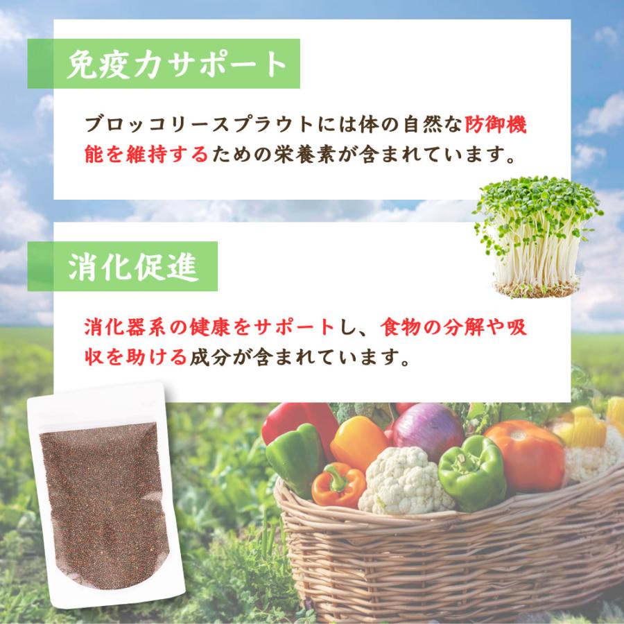 ブロッコリースプラウト種子(300ml×3袋) 高濃度 スルフォラファン含有 品種 カラブリーゼ種 有機栽培種子 爆買 |  | 03