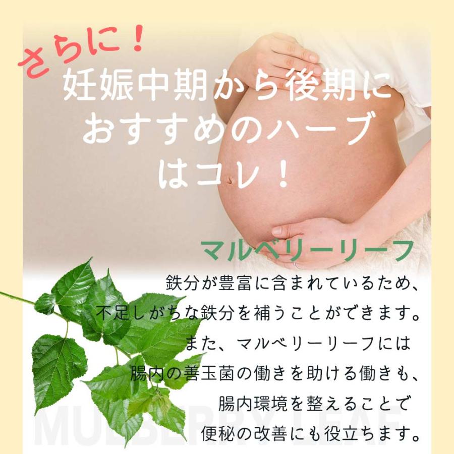 有機認証 ハーブティー hagumun (ハグムン) 妊娠中期 から 妊娠後期 の お母さん を サポート 1.5g×30包  オーガニック 有機茶 ルイボス 爆買 |  | 07