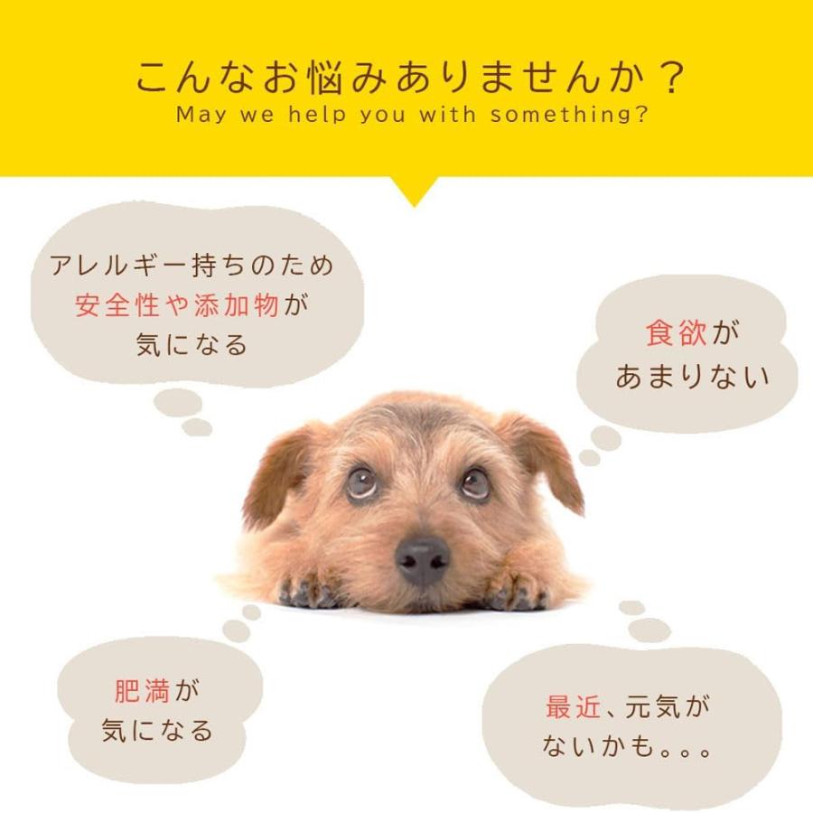 ささみ 姿 ジャーキー 100g (50g入り×2袋）アニマルシェ公式 獣医師監修 国産 無添加 ささみ 鶏肉 犬餌 おやつ 犬 犬おやつ ペットおやつ 爆買 |  | 04