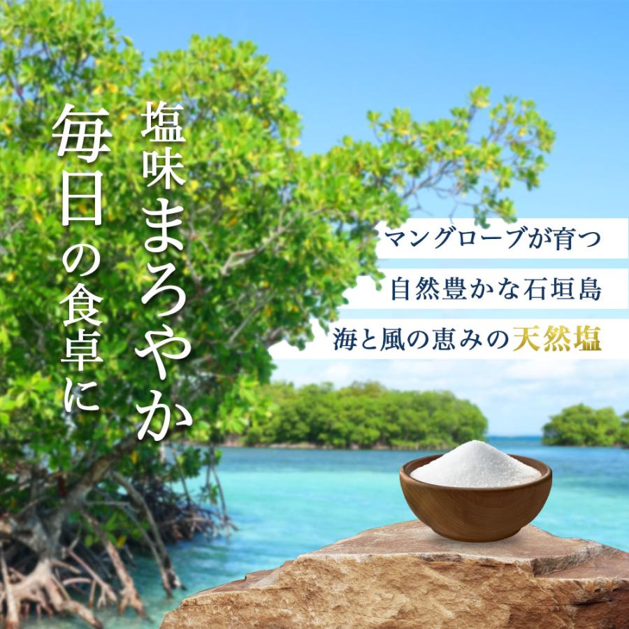 塩 国産 天然塩 170g 手作り 海水100% 沖縄県産 石垣島 おにぎり チャック付き袋 Azure Island Salt 爆買 |  | 02