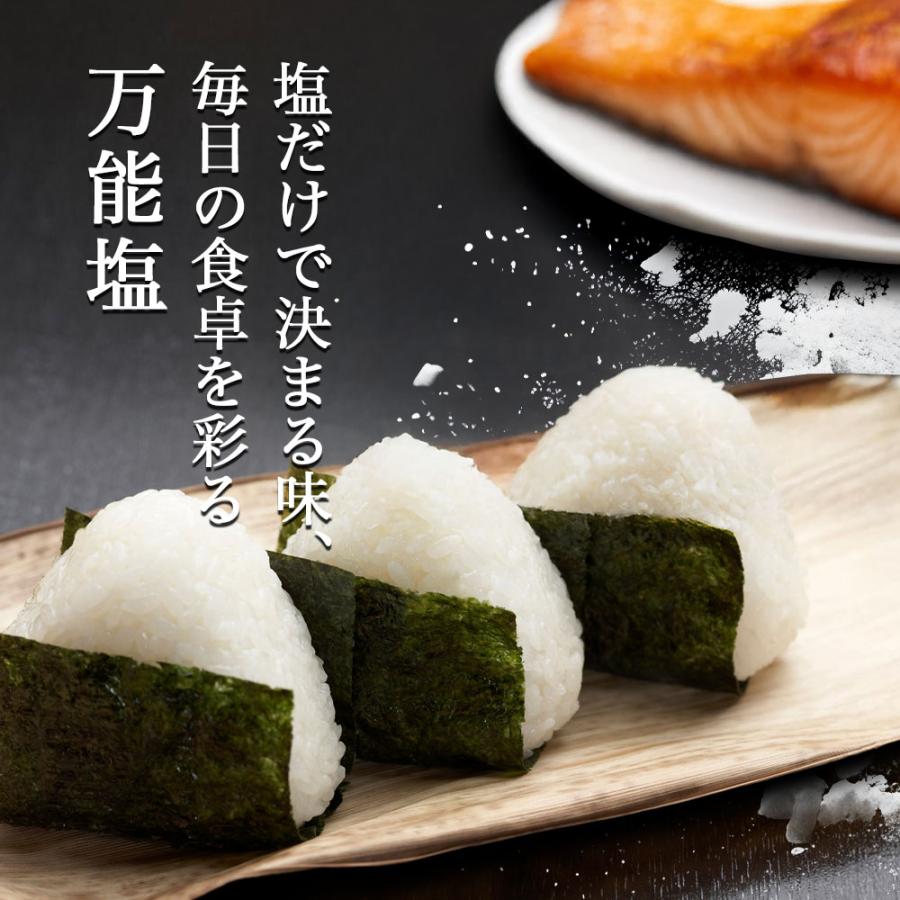 塩 国産 天然塩 170g 手作り 海水100% 沖縄県産 石垣島 おにぎり チャック付き袋 Azure Island Salt 爆買 |  | 06