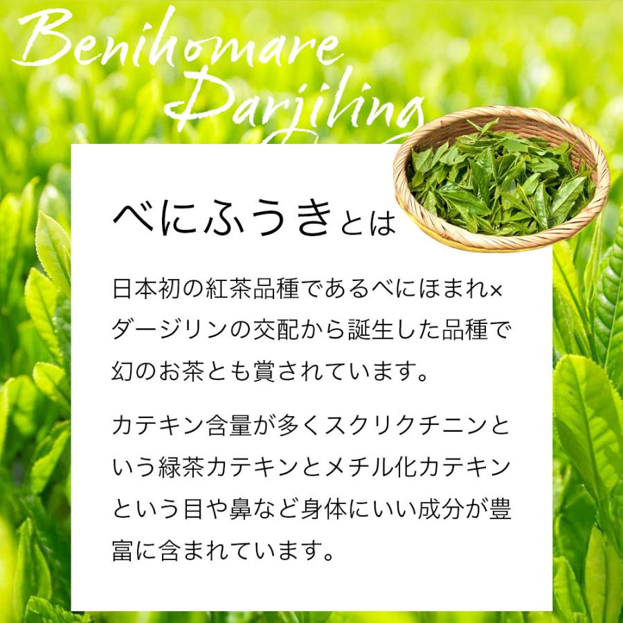 べにふうき茶 粉末 1g×50本 熊本県産 緑茶 スティックタイプ 個包装 べにふうき緑茶 粉末緑茶 国産 農薬不使用 メチル化カテキン 爆買 |  | 02