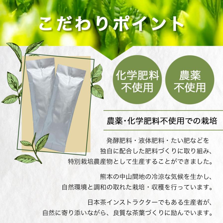べにふうき茶 粉末 1g×50本 熊本県産 緑茶 スティックタイプ 個包装 べにふうき緑茶 粉末緑茶 国産 農薬不使用 メチル化カテキン 爆買 |  | 03