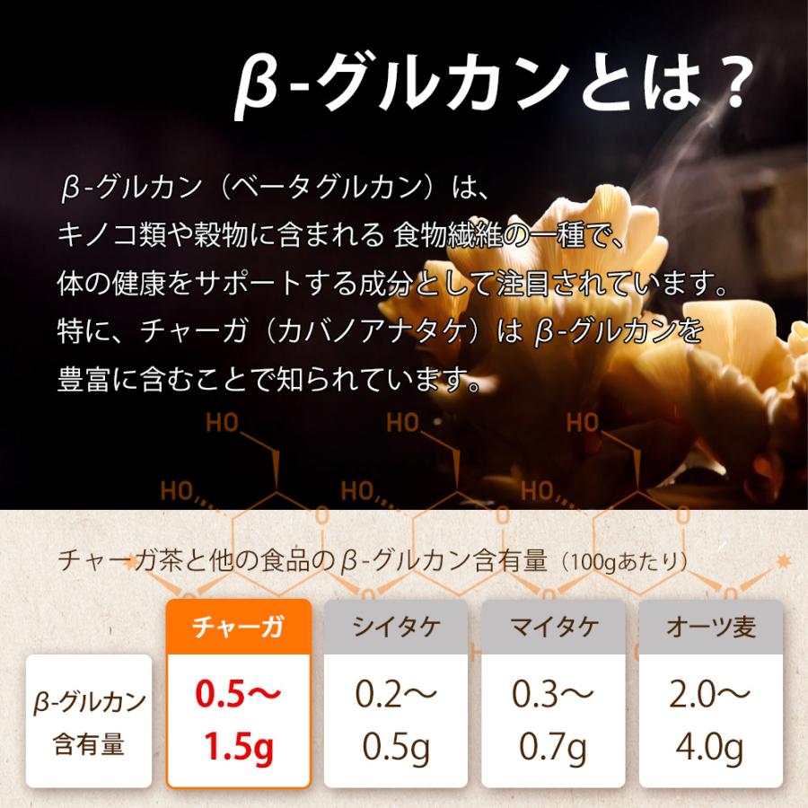 チャーガ茶 無添加 ティーバッグ (2g×20包) きのこ お茶