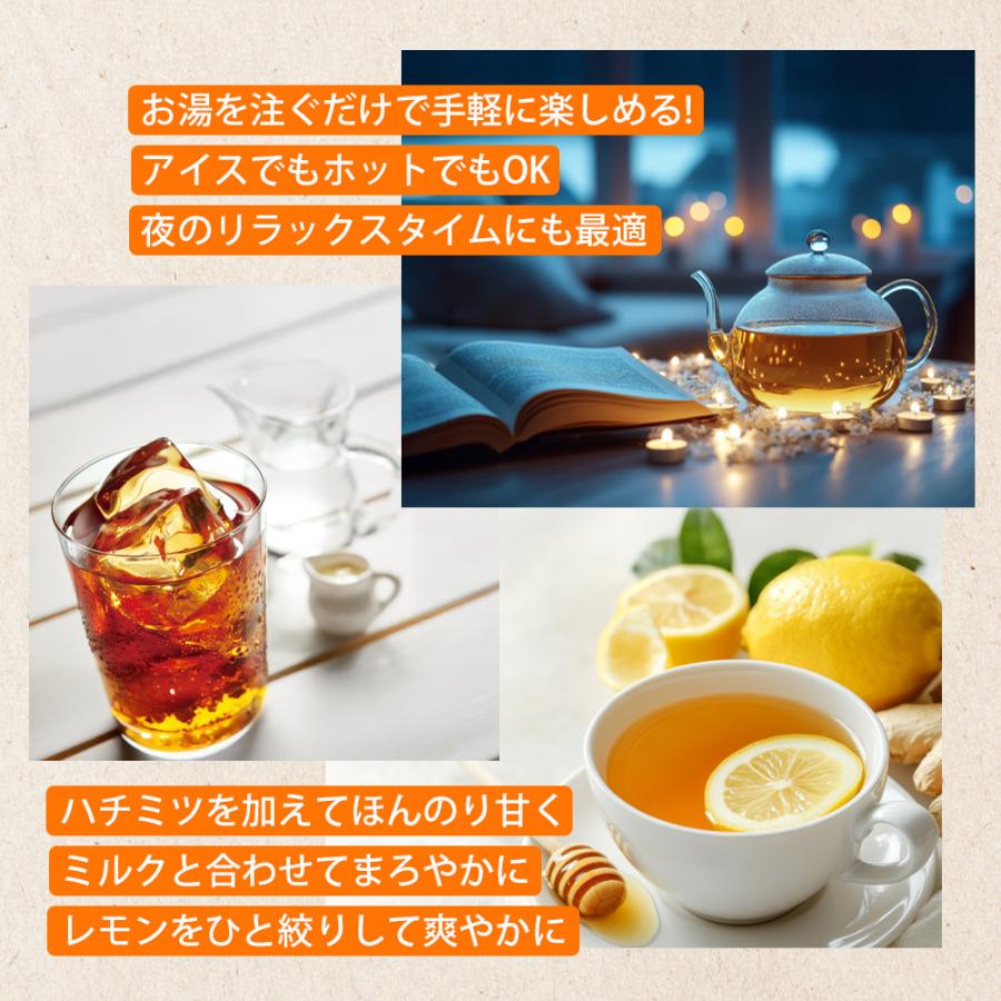 チャーガ茶 無添加 ティーバッグ (2g×20包) きのこ お茶