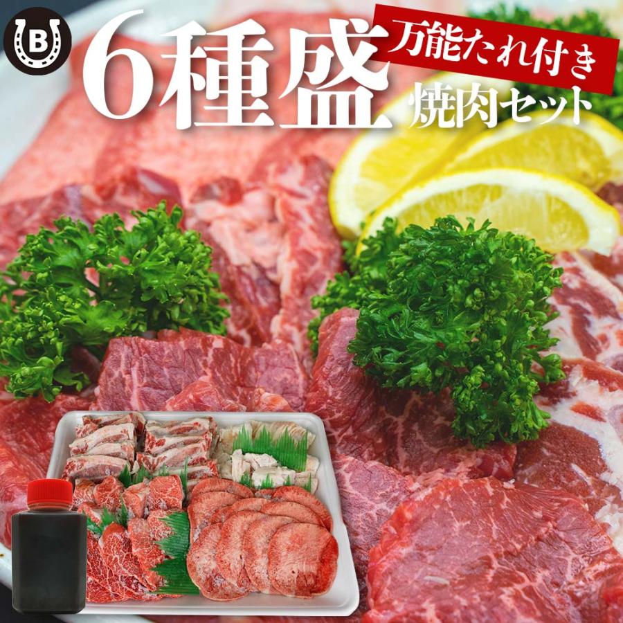 お肉 盛り合わせ 6種 約740g ( 2-3人前 ) ファミリーセット ｜お肉専門店仕入れ｜ 万能タレ付き カルビ テッチャン ハラミ 盛り合わせ 大容量 爆買 | 